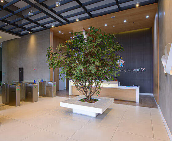 Descrição DF Connect